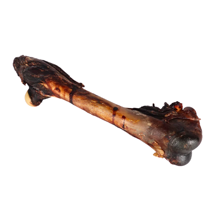 Kangaroo Bone (Australian)
