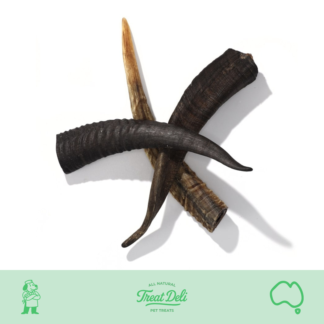 Goat Horn (Australian)