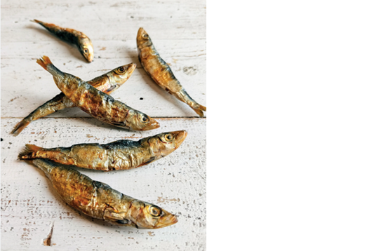 Sardines (Australian)