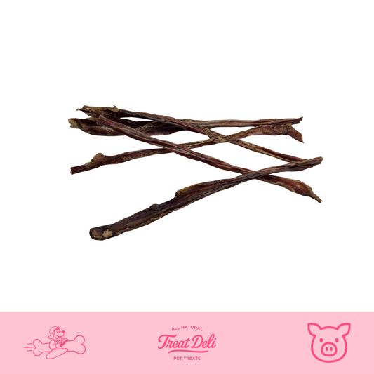 Pork Pizzle 12" (Australian)